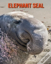 Elephant Seal