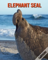 Elephant Seal