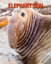 Capa do artigo Elephant Seal