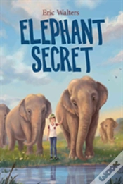 Capa do artigo Elephant Secret