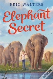 Capa do artigo Elephant Secret