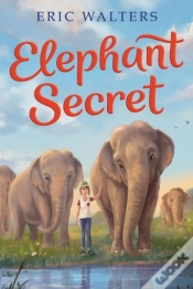 Capa do artigo Elephant Secret