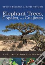 Elephant Trees, Copales, And Cuajiotes