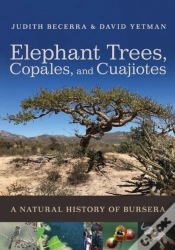 Capa do artigo Elephant Trees, Copales, And Cuajiotes