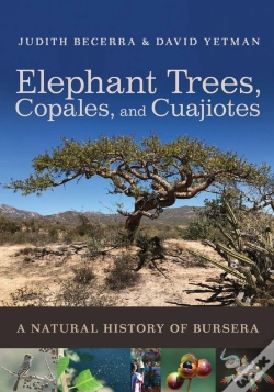 Capa do artigo Elephant Trees, Copales, And Cuajiotes