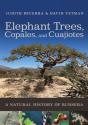 Elephant Trees, Copales, And Cuajiotes - Preview