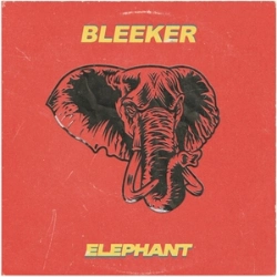 Capa do artigo Elephant - Vinil