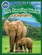 Elephants Activity Workbook For Kids Ages 4-8! - Preview