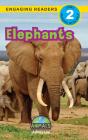 Elephants - Preview