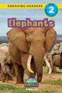Elephants - Preview