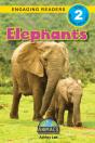 Elephants - Preview