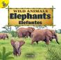 Elephants - Preview