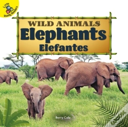 Capa do artigo Elephants