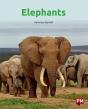 Elephants - Preview
