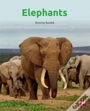 Capa do artigo Elephants