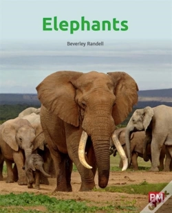 Capa do artigo Elephants