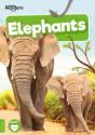 Elephants - Preview
