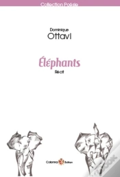 Capa do artigo Elephants