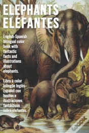 Capa do artigo Elephants - Elefantes