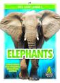 Elephants - Preview