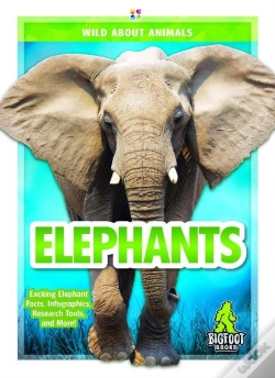Capa do artigo Elephants
