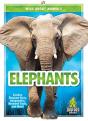 Elephants - Preview