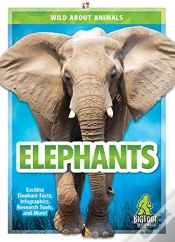 Capa do artigo Elephants