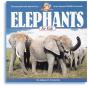 Elephants For Kids - Preview