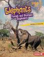 Elephants - Preview
