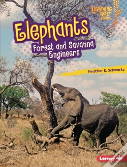 Capa do artigo Elephants
