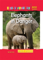 Elephants In Danger - Preview