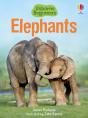 Elephants - Preview