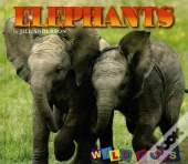 Elephants