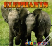 Capa do artigo Elephants