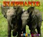 Elephants - Preview