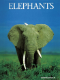 Elephants - Preview