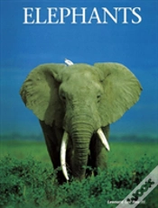 Capa do artigo Elephants