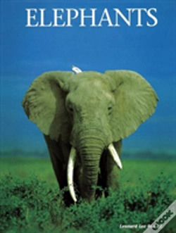 Capa do artigo Elephants