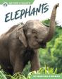 Elephants - Preview