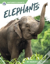 Capa do artigo Elephants