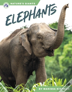 Capa do artigo Elephants