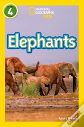 Elephants