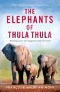 Elephants Of Thula Thula - Preview
