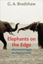 Elephants On The Edge - Preview