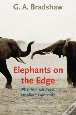 Capa do artigo Elephants On The Edge