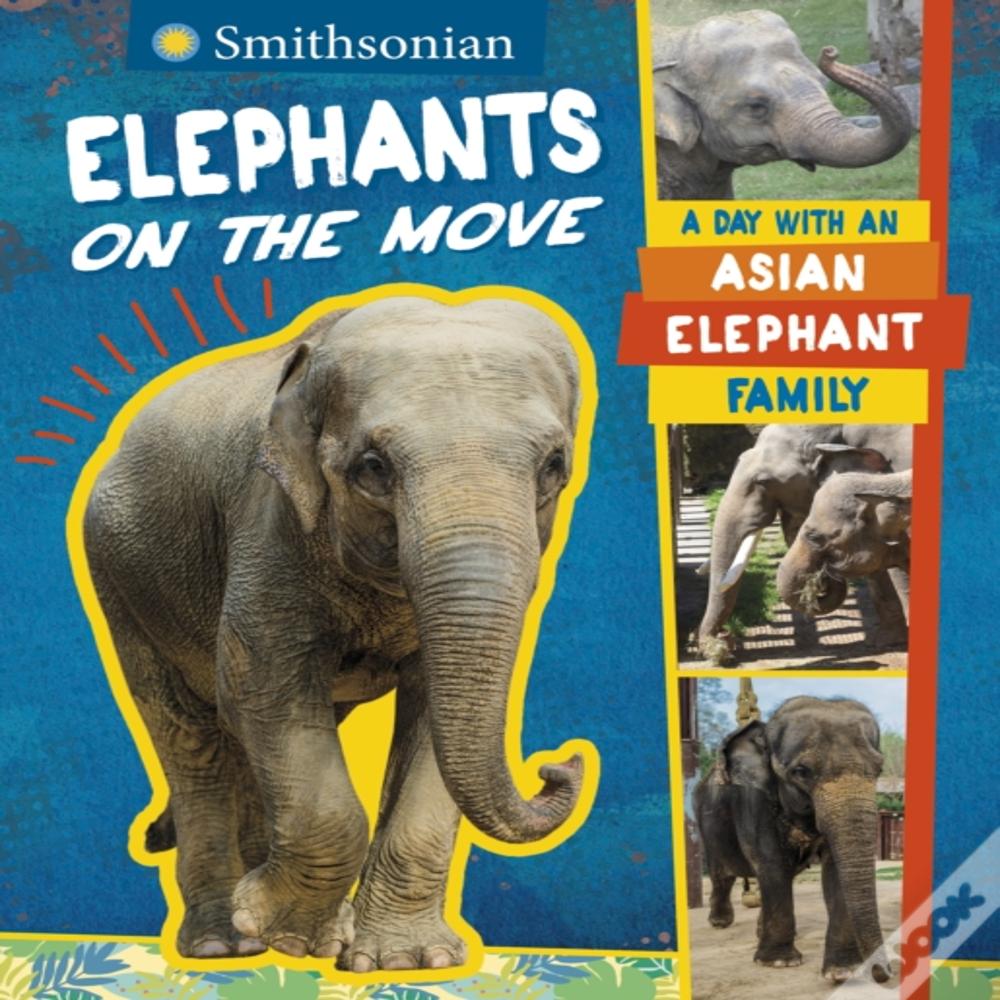 Elephants On The Move