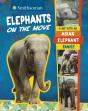 Elephants On The Move - Preview