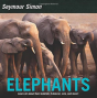Elephants Pb - Preview