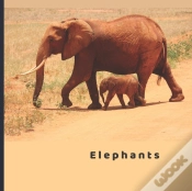 Capa do artigo Elephants