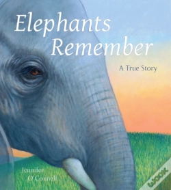 Capa do artigo Elephants Remember